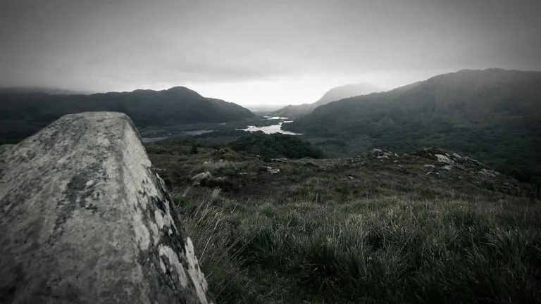 Navigating MyFXEducation: From Blog To Learning Paths