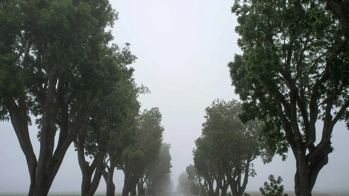 Forex Basics For New Traders