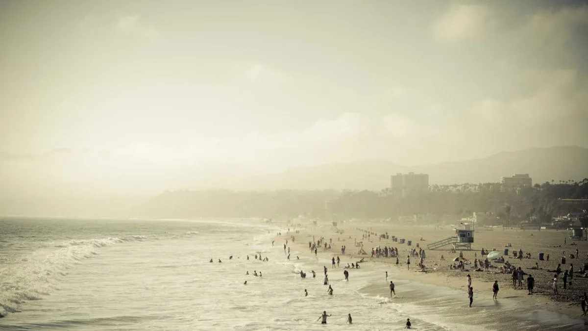 Support Resistance And Trading Zones