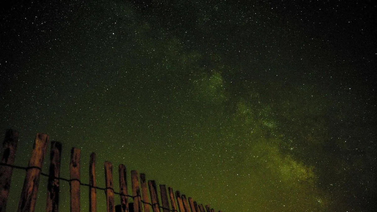 Macro Drivers And Central Banks