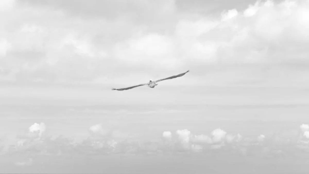 Forex Scalping Essentials