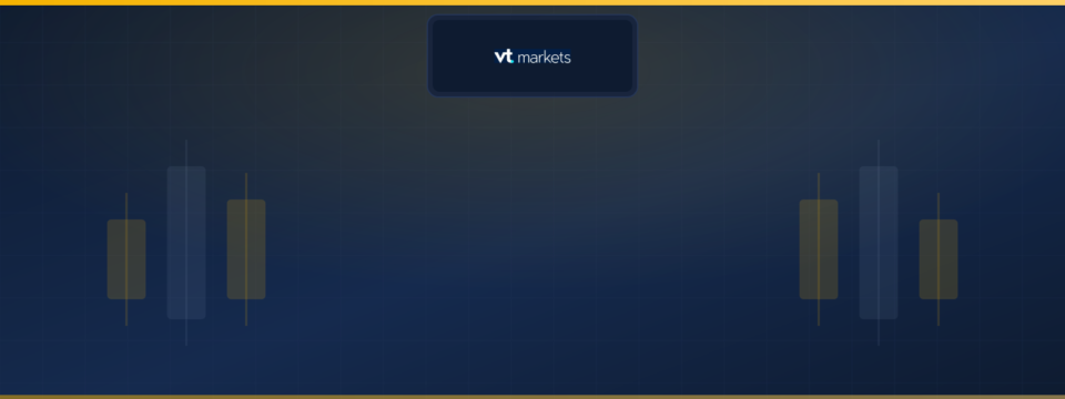 VT Markets logo on the MyFXEducation independent broker review header