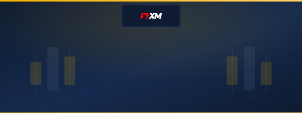 XM logo on the MyFXEducation independent broker review header